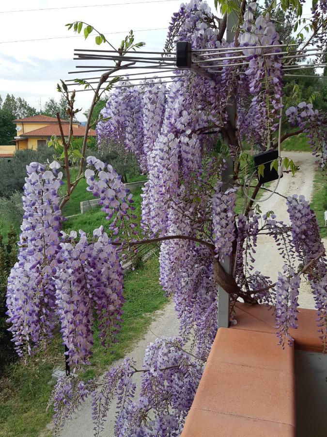 Bed and Breakfast Il Glicine Chieti Exteriér fotografie